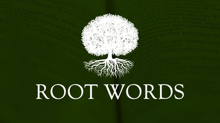 Words with the root word medi