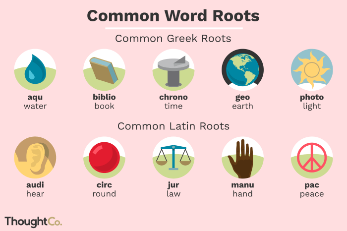 Words with the root word medi