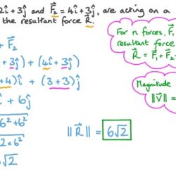 Magnitude chegg