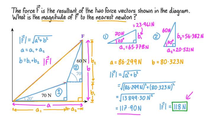 The magnitude of a force is everfi