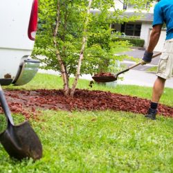 Landscaper landscaping bobvila