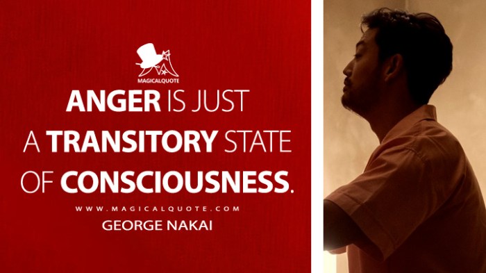 Anger is a transitory state of consciousness meaning