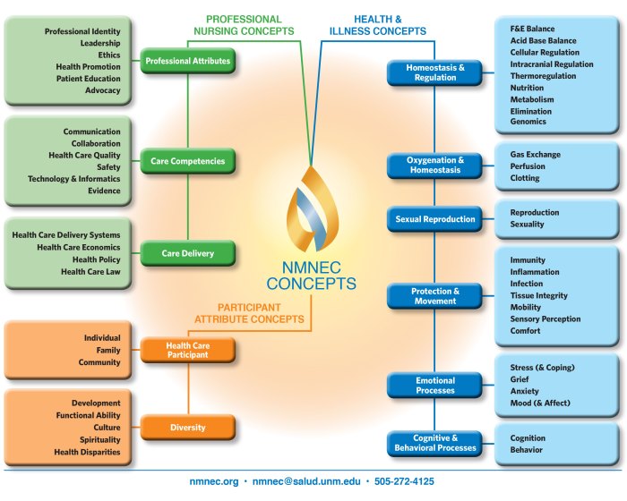Professional nursing concepts and challenges pdf