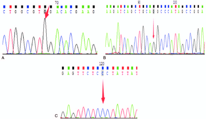 Region chromosome locus