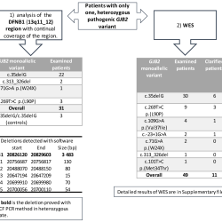 Gjb2 frequency unrelated deletion mutation