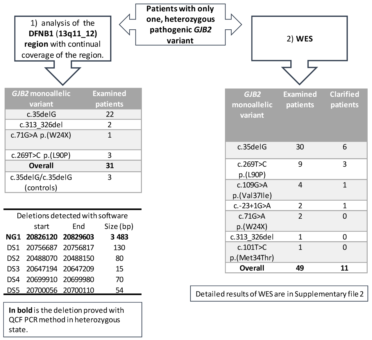 Gjb2 frequency unrelated deletion mutation