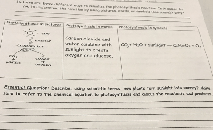 Here are three different ways to visualize the photosynthesis reaction